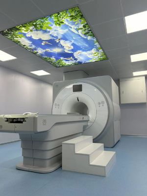 ποιότητας Συστήματα απεικόνισης με συντονισμό 1.5T Faraday Cage Box 100MHZ για υπεραγώγιμα μαγνητικά εργοστάσιο