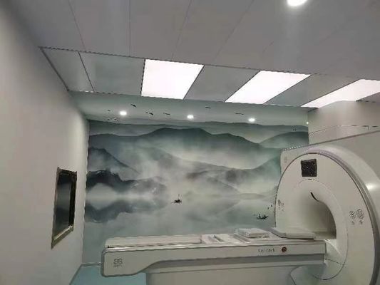 Καλή τιμή. 100dB MRI Ακροφωτισμένο Δωμάτιο Προστασία Φαραδή Κλουβί Φαραδή Προσαρμόσιμη πόρτα σε απευθείας σύνδεση